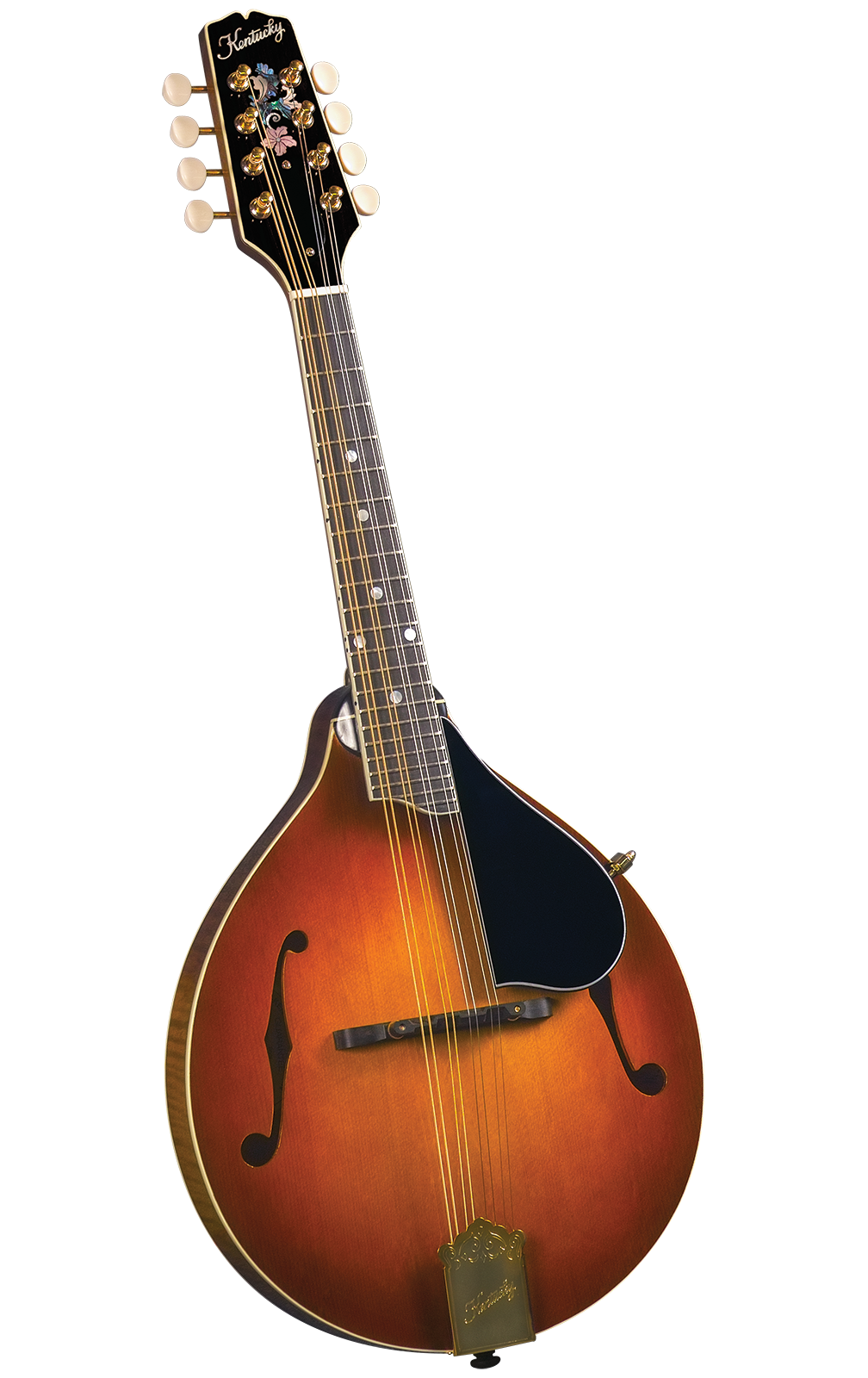 kentucky mandolin banjo