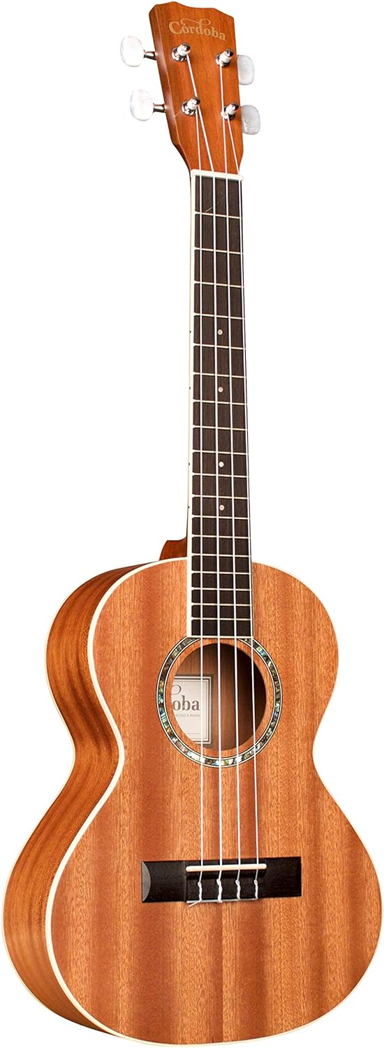 Protege by CordobaBasic Tenor Ukulele Bundle